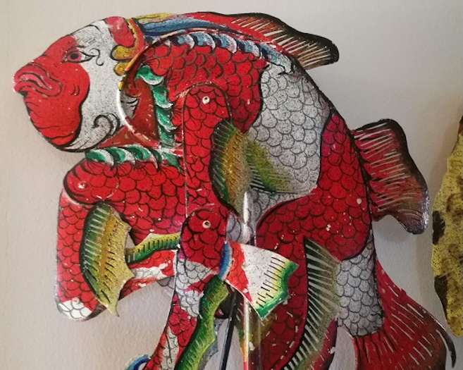 ‘Nemo’, an ocellaris clownfish from the CTC Wayang Samudra collection, Sanur / Author